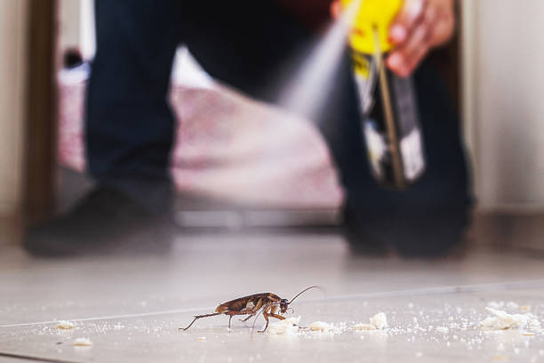 Best Residential Pest Control  in Ashtabula, OH