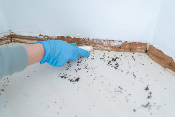 Best Pest Prevention Services  in Ashtabula, OH