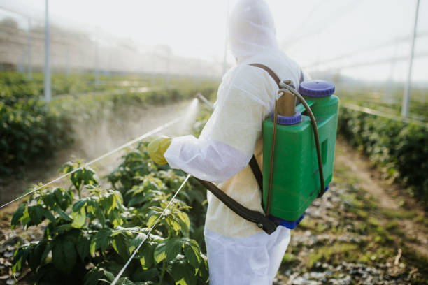 Best Wildlife Control Services  in Ashtabula, OH